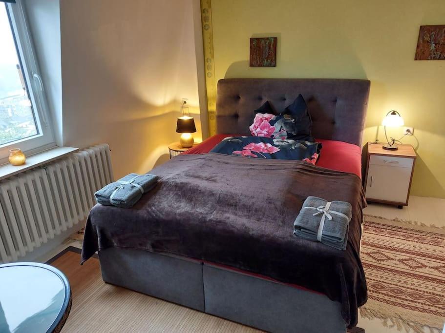 Casa Marieanne City Haus, Gratisparken, Traumblick 特里尔 外观 照片