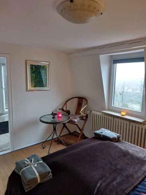 Casa Marieanne City Haus, Gratisparken, Traumblick 特里尔 外观 照片